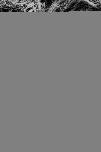 Король и завоеватель 1 сезон